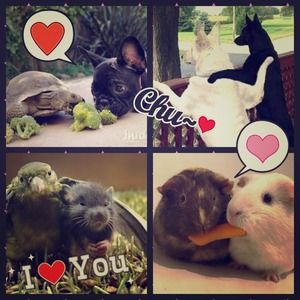 SHARING is CARING lovely Poshers! <3