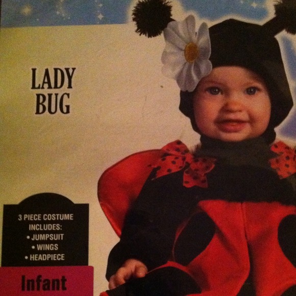 Infant 12-18 months LadyBug costume