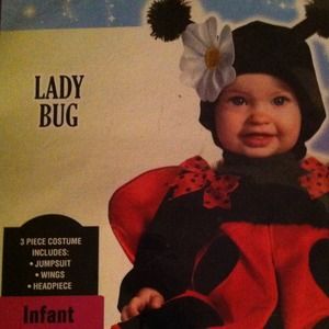Infant 12-18 months LadyBug costume