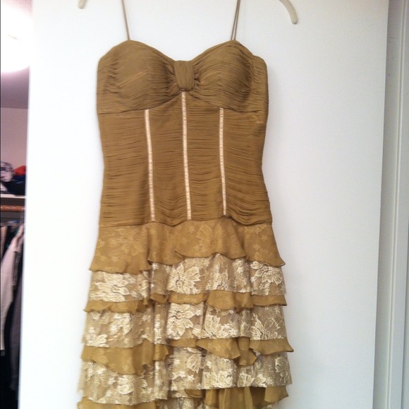 Beautiful gold lace and silk dress