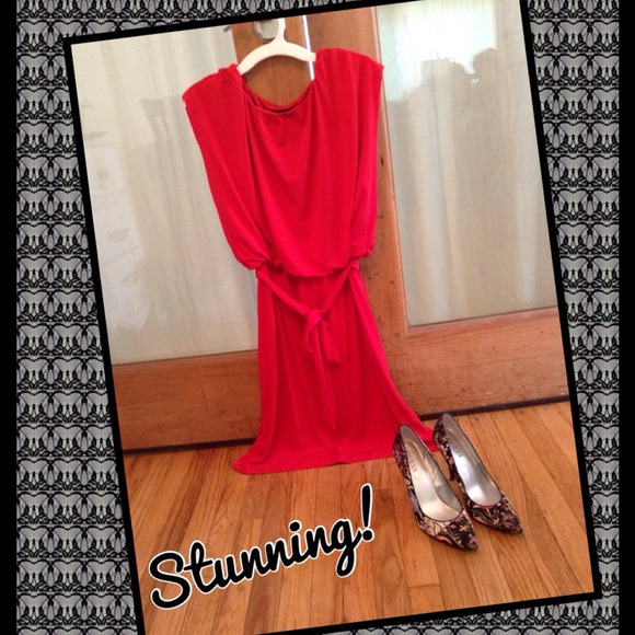 BNWT! Gorgeous Red Dress