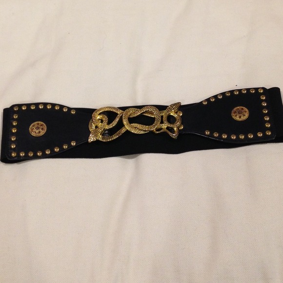 Black snake belt
