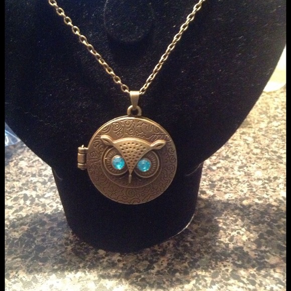 Jewelry - Bronze owl necklace