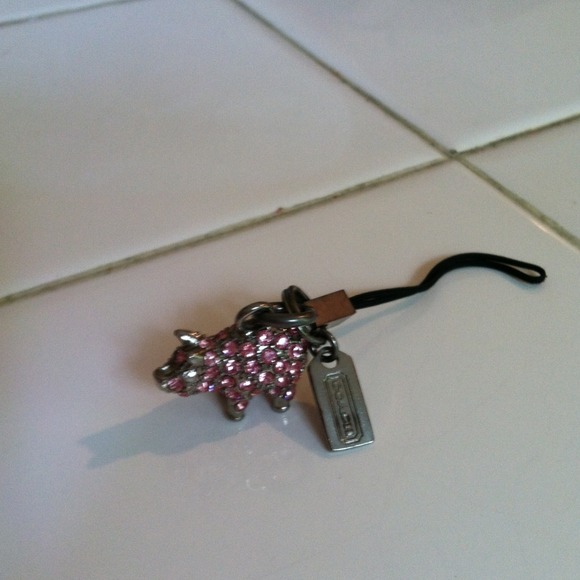 Purse charm
