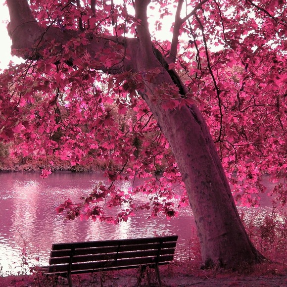 🌺BRING ON SPRING SALE🌸SEE BELOW 4 DETAILS🌻 - Picture 3 of 4