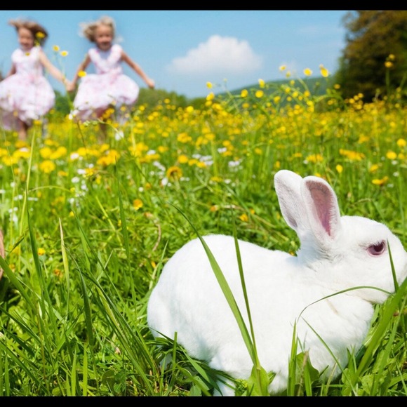 🌺BRING ON SPRING SALE🌸SEE BELOW 4 DETAILS🌻 - Picture 4 of 4