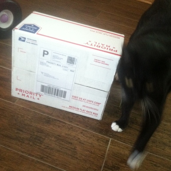 Ready to be shipped