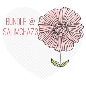 Bundle @salimchaz3