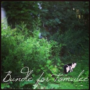 Bundle for tomalee!!!