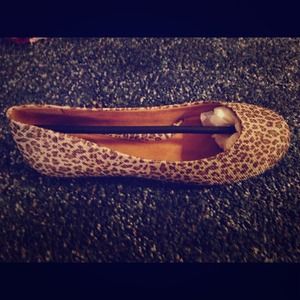 Brand new animal print flats