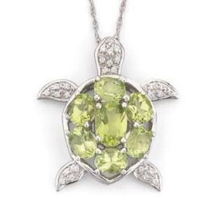 Turtle necklace