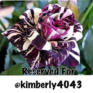 Reserved For @kimberly4043