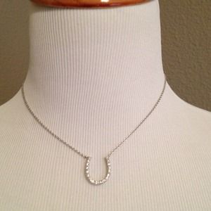 Horseshoe Diamond Necklace