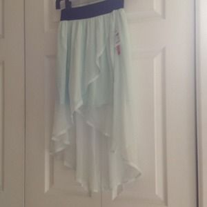 High waisted mint green sheer skirt!