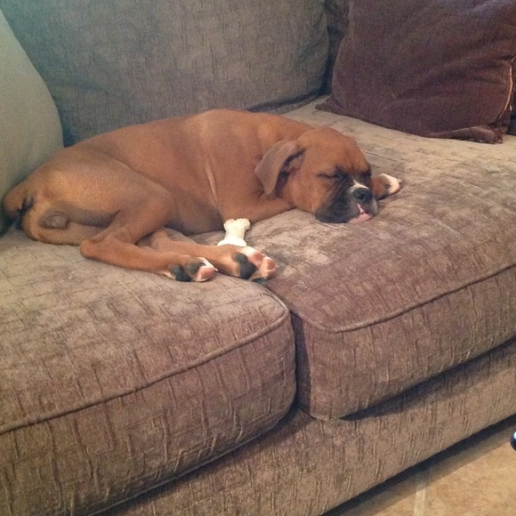 I'M BORED. MOMMYS POSTING ON POSH & NOT PLAYING!!!
