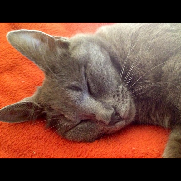 Not For Sale - Picture 3 of 4