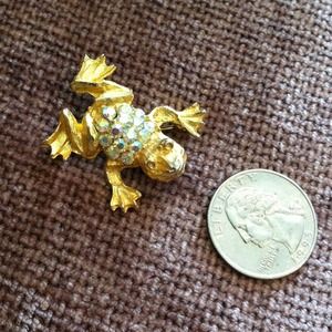 Frog pin