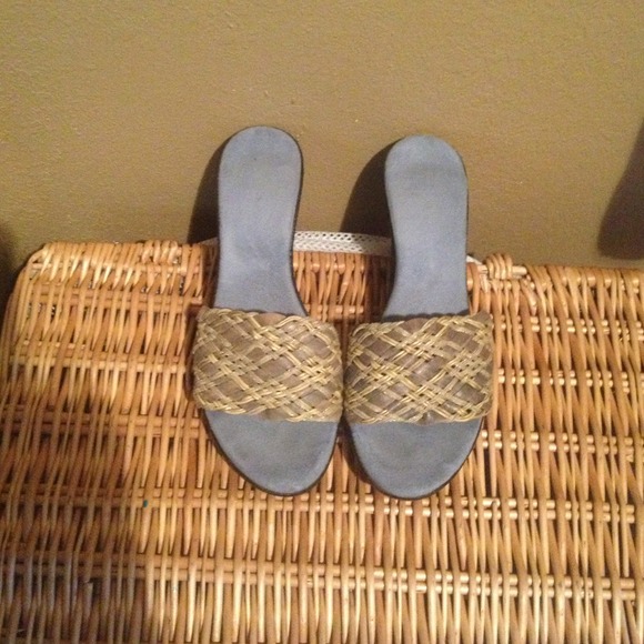 Blue with gold accent sandles