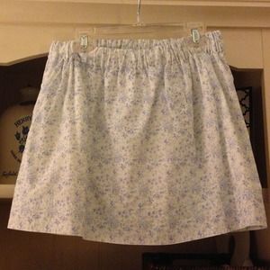 J. Crew skirt!