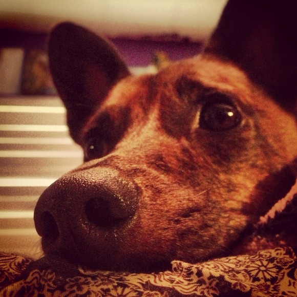 Meet Your Seller! 💀 - Picture 2 of 8