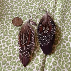 ADORABLE REAL FEATHER EARRINGS. Perfect for fall!