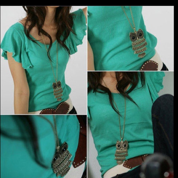 NWT bronze beautiful owl necklace - Picture 2 of 2