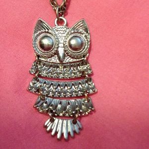Silver owl necklace!