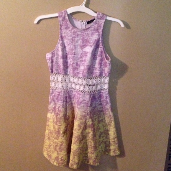 Floral ombré skater dress