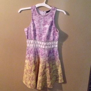 Floral ombré skater dress