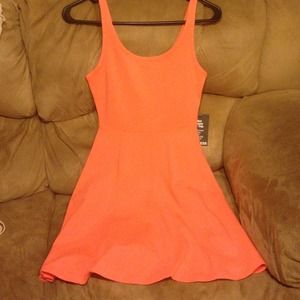 Express Skater Dress