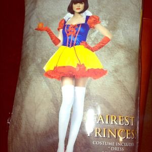 Brand New Still in Bag Snow White Costume, SZ LG