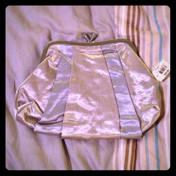 Beautiful Metallic clutch