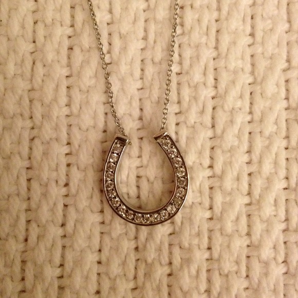 Silver Horseshoe Pendant and chain