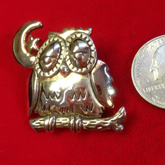 Jewelry - Owl / Moon & star on limb. Pin / Pendant