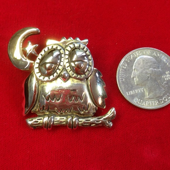 Owl / Moon & star on limb. Pin / Pendant - Picture 3 of 4