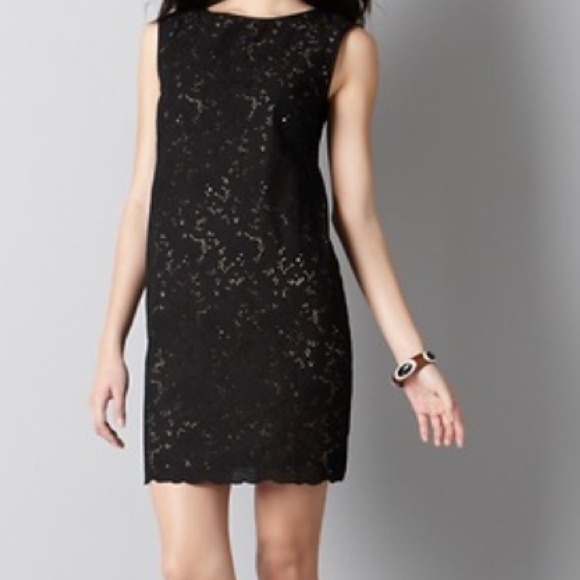 Ann Taylor Loft Petite Vintage Eyelet Shift Dress