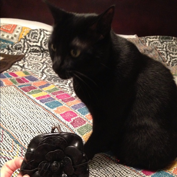 Brighton coin purse, used.