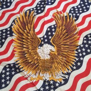 NEW Eagle / American Flag Bandana
