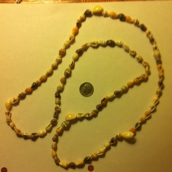 Shell Necklace - Picture 3 of 3