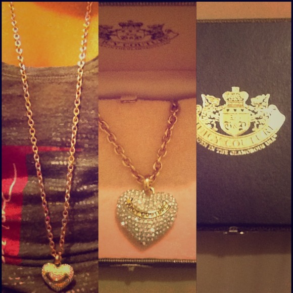 long chained juicy pave heart necklace