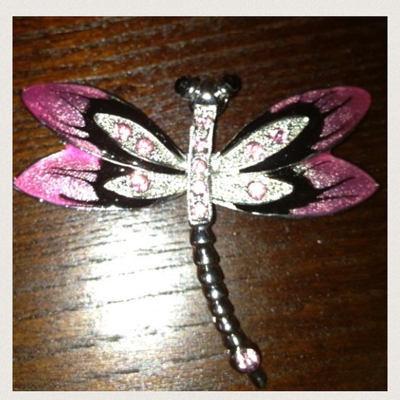 Dragonfly pin