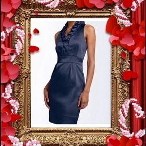 Taylor Petite size 10p gorgeous navy blue dress