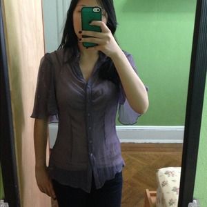 Bcbg max azria sheer blouse