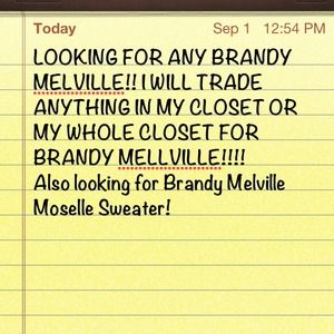 LOOKING FOR BRANDY MELVILLE!