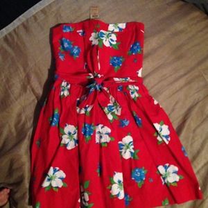 New with tags hollister dress