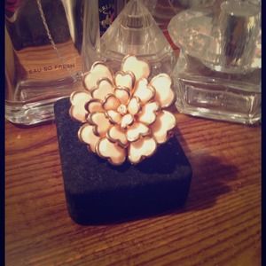 Over sized light pink ring