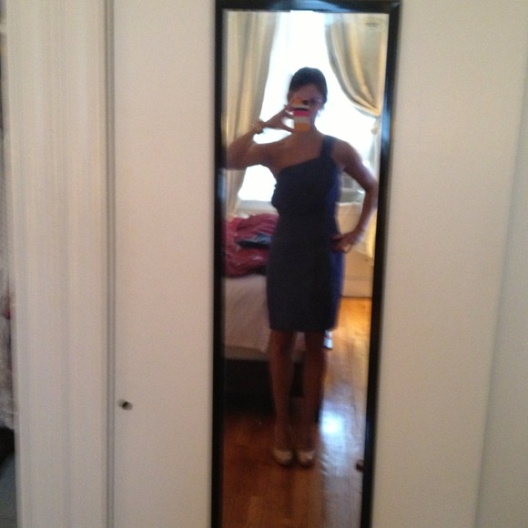 Jcrew dress