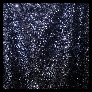 Knee length sequin SKIRT by I.N.C.