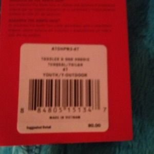 Sky blue fur north face coat