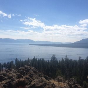 Customs listing for buyer